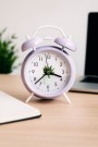 Часы-будильник «Cactus Time» (16,5х12,5 см)