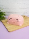 Мыльница «Pig», pink (7,5*15,5 см)