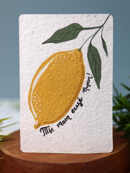 "Растущая открытка Magicme", "Ты тот еще фрукт", 10х15 см 