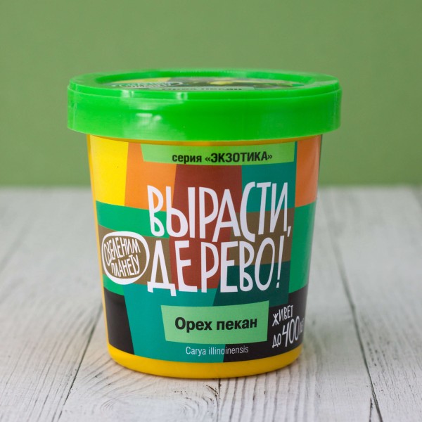 Набор для выращивания "Орех пекан" 