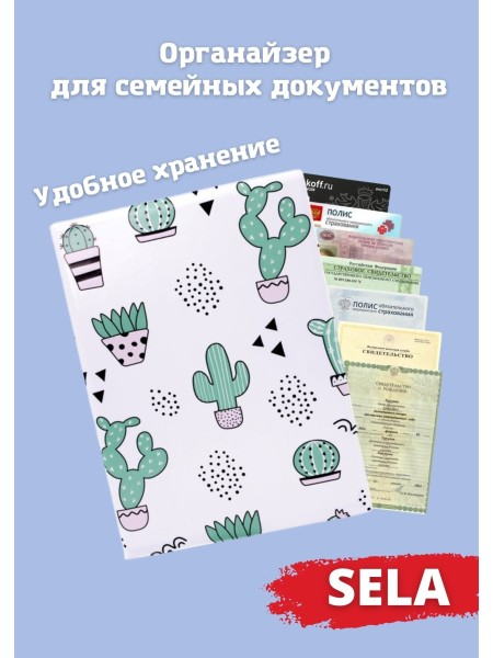 Органайзер для документов А4 Succulents (семейный) 