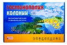 Игра настольная "ГОСМОНОПОЛИЯ КОЛОНИИ", с карточками