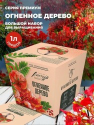 Набор д/выращивания "Тысяча листьев премиум", "Огненное дерево"