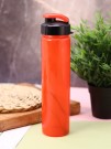 Бутылка "Classic style", red (500 ml)