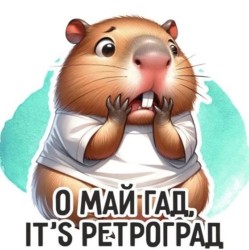 Кружка "Капибара. О, май гад, It’s Pетроград", 320мл