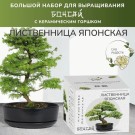 Набор д/создания бонсай "Сад Радости", "Лиственница японская"