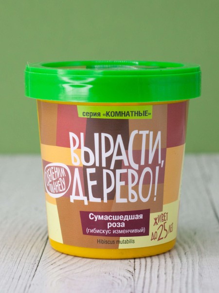 Набор для выращивания "Сумасшедшая роза" 