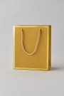 Пакет подарочный (XS) «Classic line», gold (19.5*14.5*10)