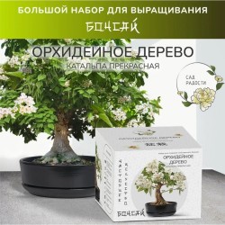 Набор д/создания бонсай "Сад Радости", "Орхидейное дерево"