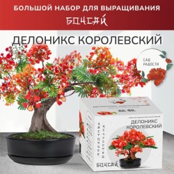Набор д/создания бонсай "Сад Радости", "Делоникс королевский"