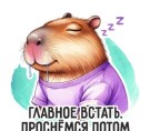 Кружка "Капибара. Главное встать. Проснемся потом", 320мл