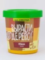 Набор для выращивания "Юкка сизая"