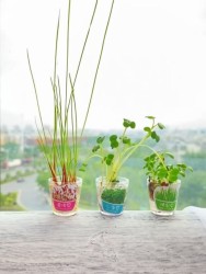 Ручка+ набор для выращивания "Herbal pen", pink