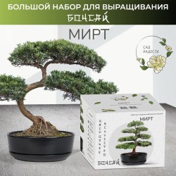 Набор д/создания бонсай "Сад Радости", "Мирт"