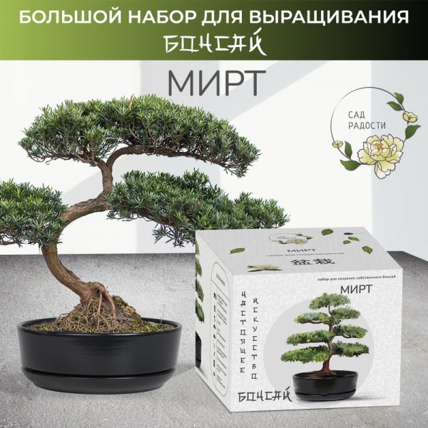 Набор д/создания бонсай "Сад Радости", "Мирт" 
