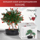 Набор д/создания бонсай "Сад Радости", "Гранат"