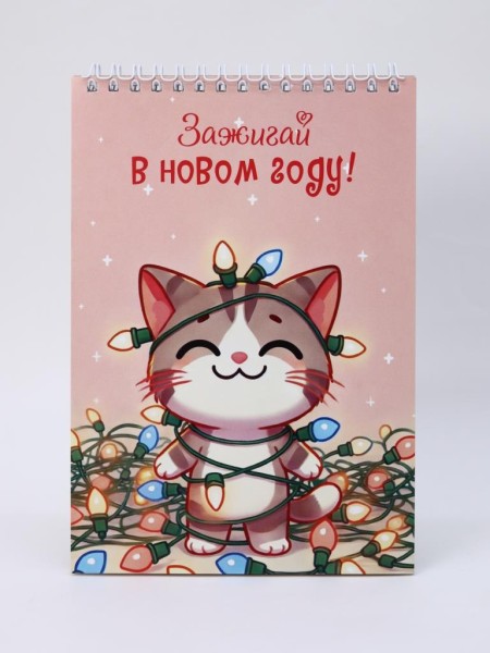 Скетчбук «Зажигай в новом году! Котик», 14х20 см,  плотность 100 гр 