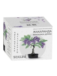 Набор д/создания бонсай "Сад Радости", "Жакаранда"