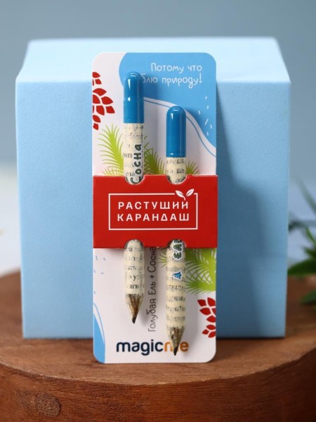 "Набор растущих карандашей Magicme mini" - Голубая Ель и Сосна 
