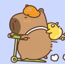 Алмазная мозаика  Draw Me! «Capybara on a scooter», (20*20 см)