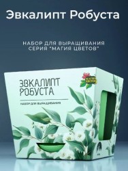 Набор для выращивания растений "Магия Цветов", "Эвкалипт робуста"