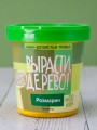 Набор для выращивания "Розмарин"