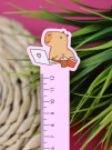 Линейка ECO из дерева «Capybara works»