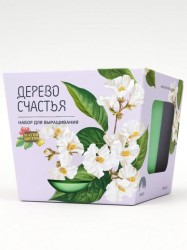 Набор д/выращивания "Магия Цветов", "Дерево счастья"