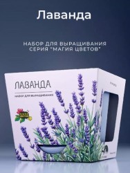Набор для выращивания растений "Магия Цветов", "Лаванда"