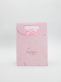 Пакет подарочный (M) "Colorful serpentine", pink M