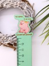Линейка ECO из дерева «То хочу…то не хочу...»