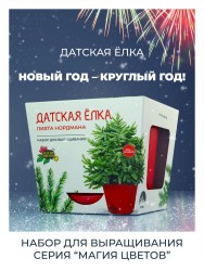 Набор д/выращивания растений "Магия цветов", "Датская елка"