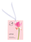 Саше ароматическое "Spring Lotus", 10 гр
