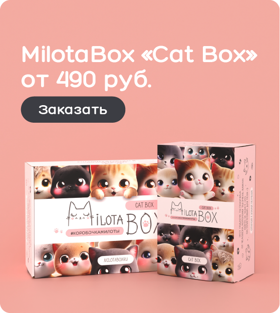 MilotaBox с милыми Котиками